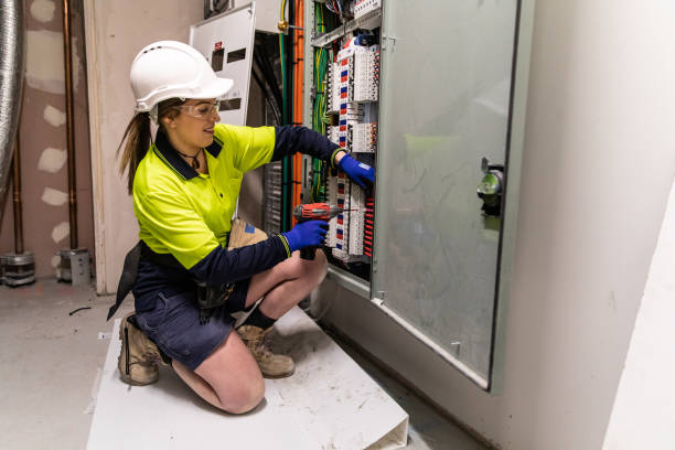 Best Electric Panel Repair  in Pine Crest, TN